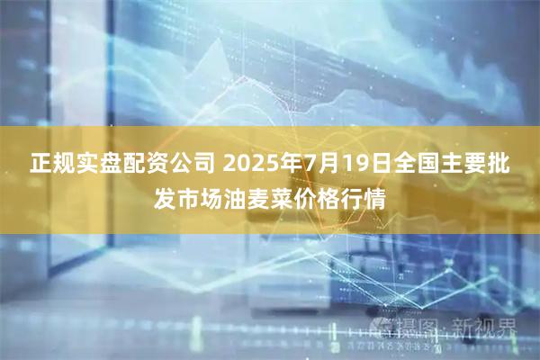 正规实盘配资公司 2025年7月19日全国主要批发市场油麦菜价格行情