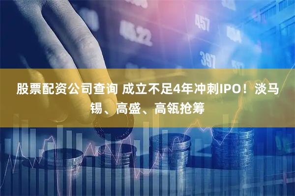股票配资公司查询 成立不足4年冲刺IPO!淡马锡、高盛、高瓴抢筹